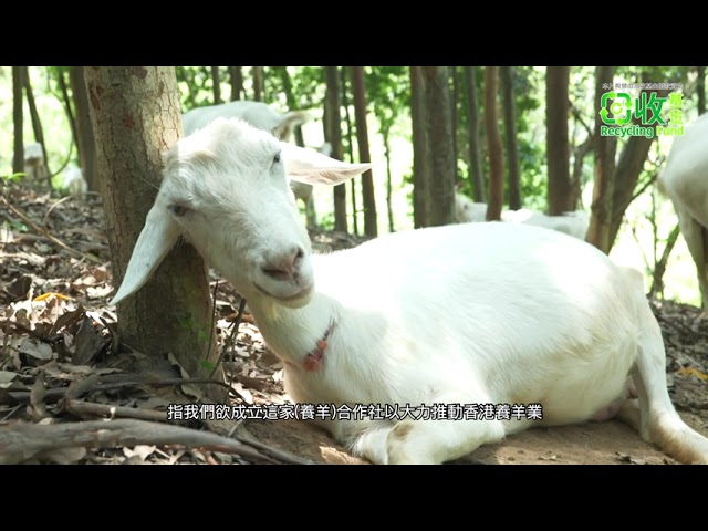 DOCUMENTARY VIDEO FOR Recycling Fund PACKAGE F - Video Production — V1 NGO Hub video production portfolio